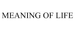 MEANING OF LIFE Trademark Image