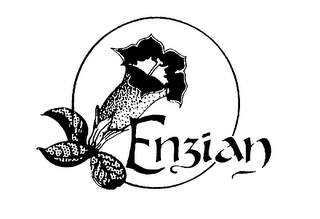 ENZIAN Trademark Image