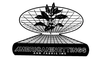 AMERICAN-NETTINGS AND FABRIC INC Trademark Image