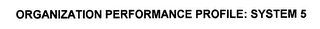 ORGANIZATION PERFORMANCE PROFILE: SYSTEM 5 Trademark Image