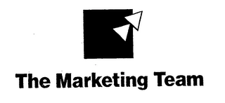 THE MARKETING TEAM Trademark Image