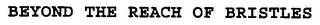 BEYOND THE REACH OF BRISTLES Trademark Image