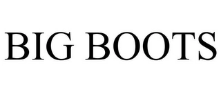 BIG BOOTS Trademark Image