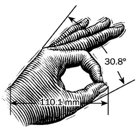 110.1MM AND 30.8° Trademark Image