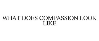 WHAT DOES COMPASSION LOOK LIKE Trademark Image