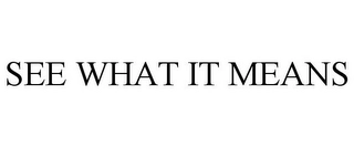 SEE WHAT IT MEANS Trademark Image