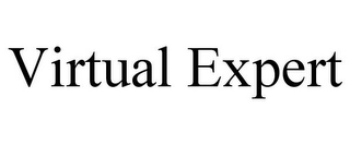VIRTUAL EXPERT Trademark Image