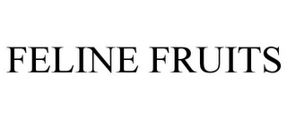 FELINE FRUITS Trademark Image