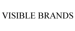 VISIBLE BRANDS Trademark Image