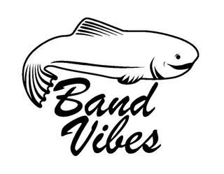 BAND VIBES Trademark Image