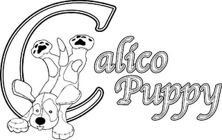 CALICO PUPPY Trademark Image