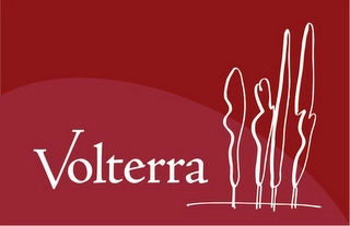VOLTERRA Trademark Image