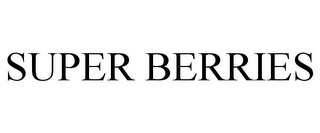 SUPER BERRIES Trademark Image