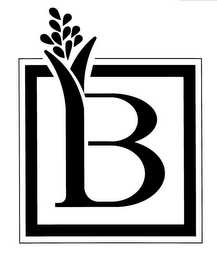 B Trademark Image
