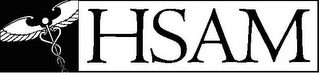 HSAM Trademark Image