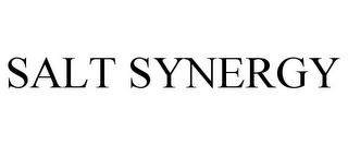 SALT SYNERGY Trademark Image
