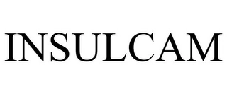 INSULCAM Trademark Image