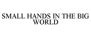 SMALL HANDS IN THE BIG WORLD Trademark Image