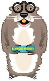 SEYMOUR HISTORY Trademark Image