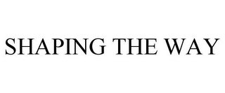 SHAPING THE WAY Trademark Image