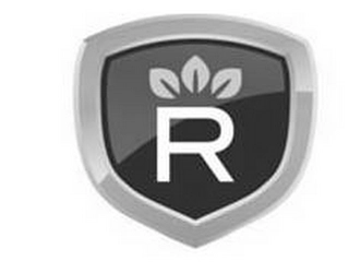 R Trademark Image
