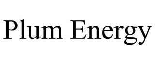 PLUM ENERGY Trademark Image