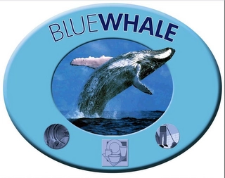BLUE WHALE Trademark Image