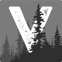 V Trademark Image