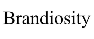 BRANDIOSITY Trademark Image