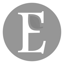 E Trademark Image