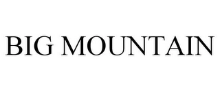 BIG MOUNTAIN Trademark Image