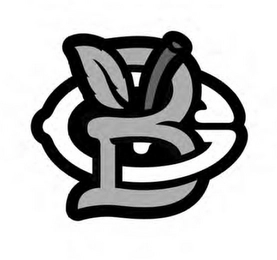 BG Trademark Image