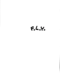 F.L.Y. Trademark Image