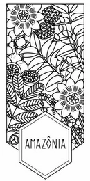 AMAZÓNIA Trademark Image
