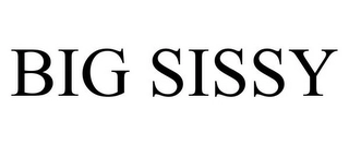 BIG SISSY Trademark Image