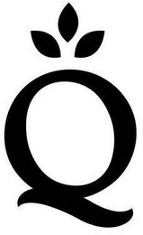Q Trademark Image