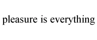 PLEASURE IS EVERYTHING Trademark Image