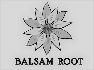 BALSAM ROOT Trademark Image