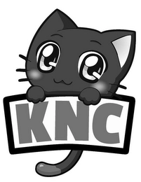 KNC Trademark Image