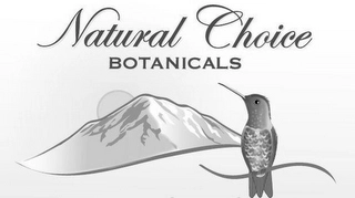 NATURAL CHOICE BOTANICALS Trademark Image