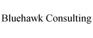 BLUEHAWK CONSULTING Trademark Image