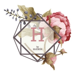 H BY ELICSOR Trademark Image
