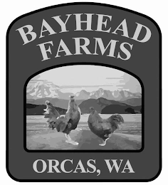 BAYHEAD FARMS ORCAS, WA Trademark Image