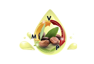 MVP MINERALS VITAMINS PROTEINS Trademark Image