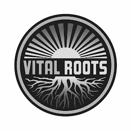 VITAL ROOTS Trademark Image