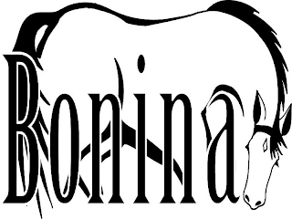 BONINA Trademark Image