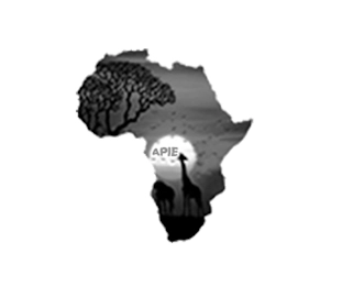 APIE Trademark Image