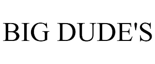 BIG DUDE'S Trademark Image