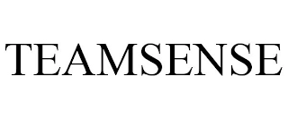 TEAMSENSE Trademark Image