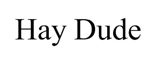 HAY DUDE Trademark Image